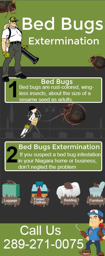 Niagara Bed Bugs Extermination